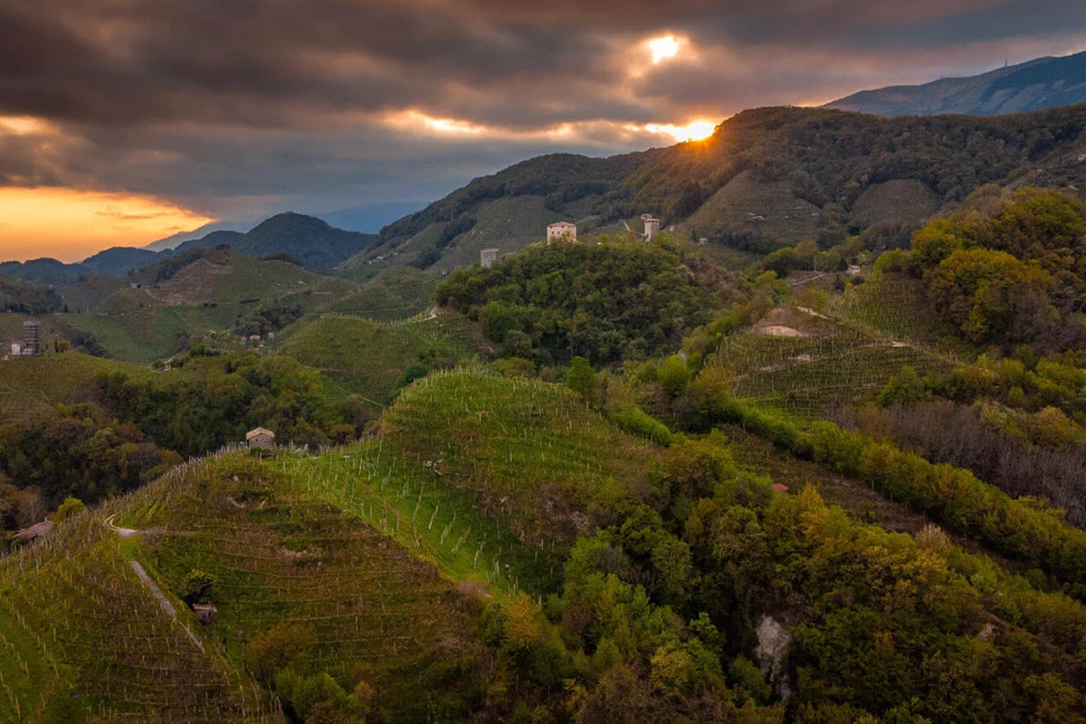 Cantina Bernardi