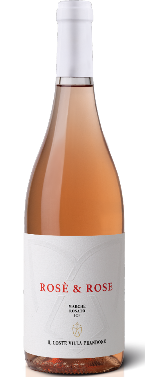 Rose Marche Rosato IGP