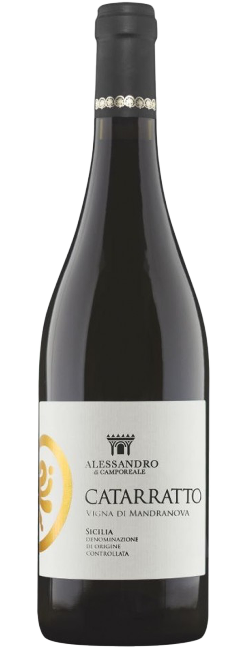 Catarratto vigna Mandranova BIO Alessandro di Camporeale